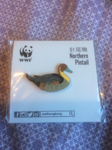 Not RSPB WWF Pin Badge Northern Pintail