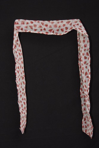 White Black Green Red Sliced Watermelon W Seeds Print Fresh Cute Scarf S201