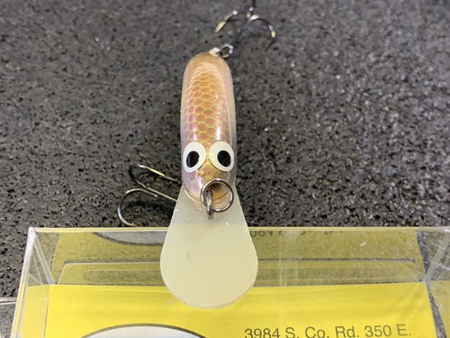 Bad Shad Color PH Custom Lures Skinny P Custom Balsa Crankbait