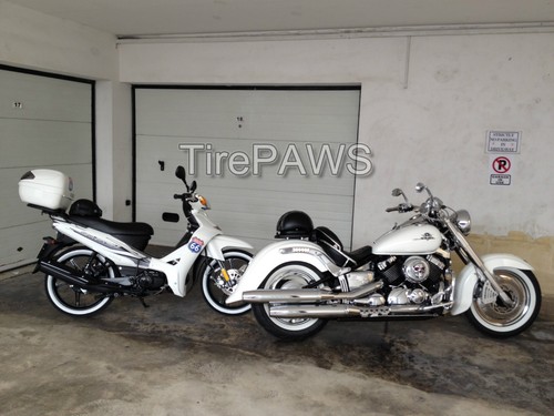 ATLAS Front 19/" Back 15/" Motorcycle White Wall Port-a-wall Tire insert Trim Set