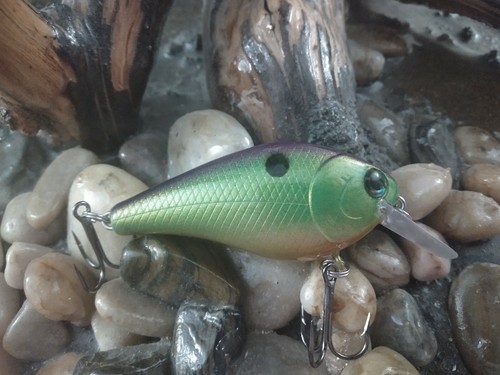 Custom painted 1.5 square bill Crankbait HARLEQUIN