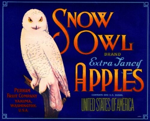 Yakima Washington State Snow Owl Blue Apple Fruit Crate Label Art Print