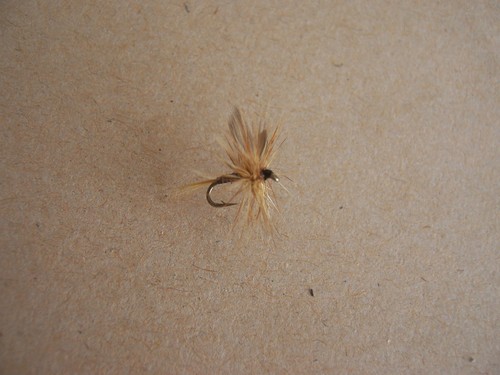 Standard Dry ginger quill Dry Mouches sur Taille 16 Crochets par Salmoflies Fishing Flies