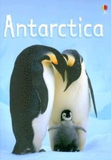 Antarctica (Usborne Beginners)-Lucy Bowman, Adam Stower, Nicola
