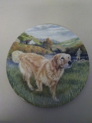 China Plate Royal Grafton 1992 Honey with Cert Man/'s Best Friend Collection