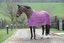 Purple//Blue//Yellow Weatherbeeta Scrim Cooler Standard Neck