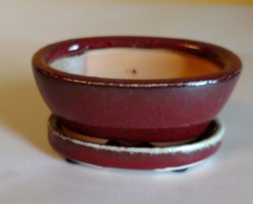 Lovely Bonsai Pot /& Saucer Small 4/" long NEW Red Oval