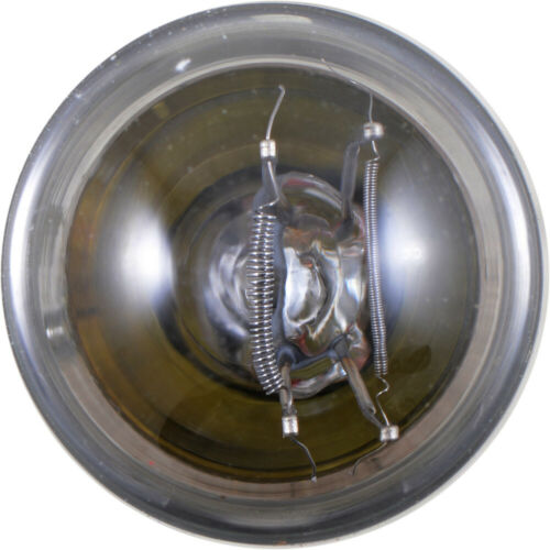 Turn Signal Light Bulb-LongerLife Twin Blister Pack Philips 3496LLB2