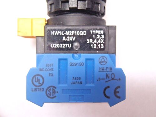 HW1L-M2F10QD-A-24V 22mm HW Illuminated Button Momentary Extended
