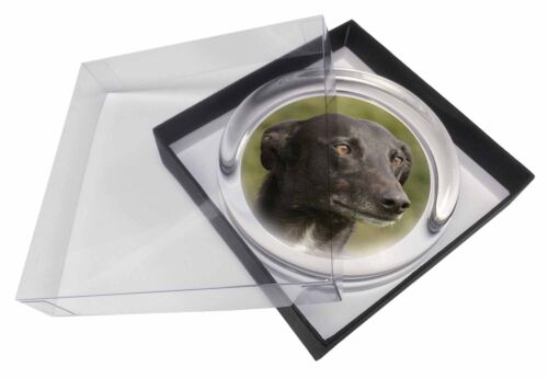 Greyhound Dog Glass Paperweight in Gift Box Christmas Present AD-GH2PW