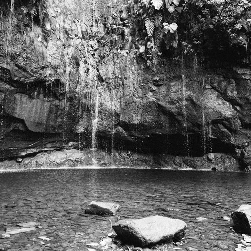 Ilford hp5 plus 400 4x5 en 25 hoja película plan