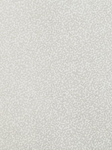 Nouveau ROMO Tilla Collez Le Mur Papier Peint Gull Gris W397//04