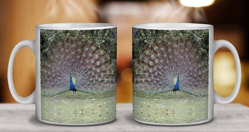 AB-PE76MG Colourful Peacock Coffee//Tea Mug Christmas Stocking Filler Gift Idea