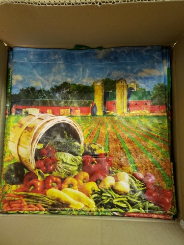 100//case Nouveau Earthwise Réutilisable//pliant Grocery Shopping Sacs Silo Print