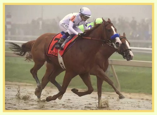 JUSTIFY wins Preakness Stakes Triple Crown 8x10 Double Matted 5x7 Photo print