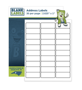 300-2.625 x 1 Blank Laser Ink Jet Mailing Adhesive Address Labels 1 x 2 5//8