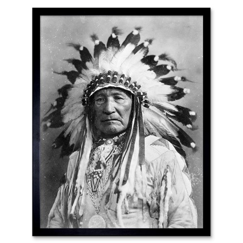 Vintage Native American Indian Mountain Chief 12X16 Inch Framed Art Print