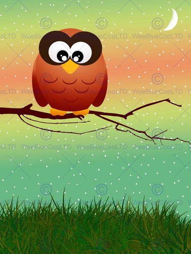 PAINTING OWL TREE CRESCENT MOON STARS CHILDREN KIDS CARTOON POSTER BMP11183