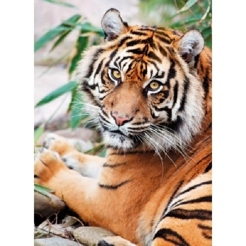 Clementoni 39295 1000 piezas de rompecabezas tigre