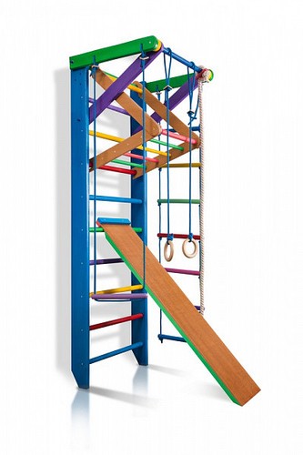 Swedish Ladder Climbing Wall Bars Wall Pull Up Bar /& Ladder Home Gym Playground
