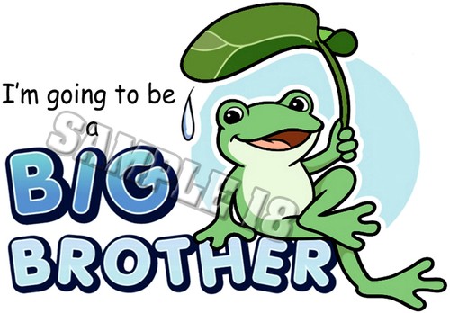 20-20 BIG BROTHER 2 BE IRON ON TRANSFER FOR LIGHT FABRICS Ref