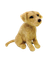 Les petits malins Kit Company dinky Chiens Jaune Labrador aiguille feutrage Kit