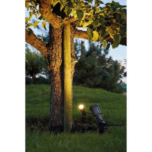 Outdoor LED Ground Spike Spotlight IP65 Rated Weatherproof Garden Light