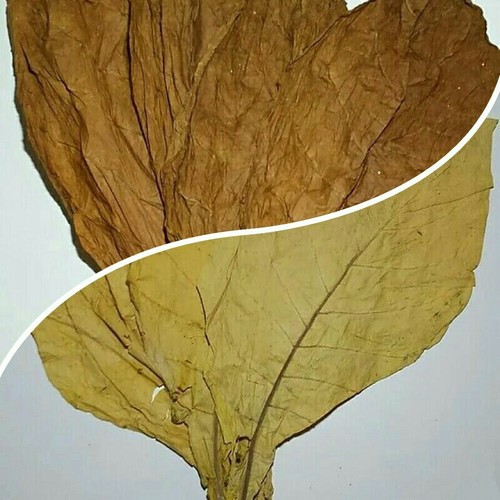 VIRGINIE BLOND 1KG FEUILLES DE TABAC BRUN
