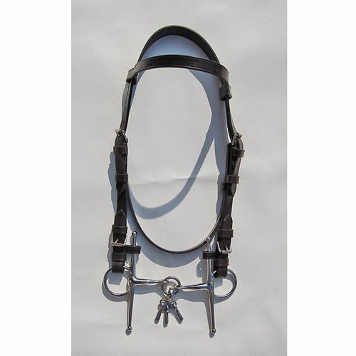 Breaking Bridle