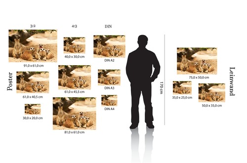 Erdmännchen Tier Familie Afrika Madagaskar Postereck 3248 Poster /& Leinwand