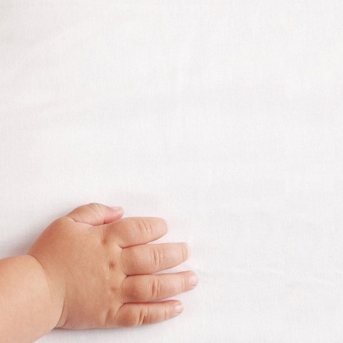 The Little Green Sheep ORGANIC JERSEY FITTED SHEET COT//CRIB//MOSES BASKET BNIB