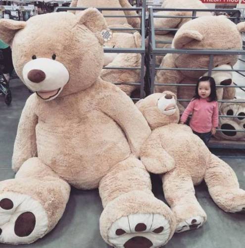 79/'/' Super Huge Brown Teddy Bear Big Soft Plush Stuffed Toy Valentine Gift 200Cm