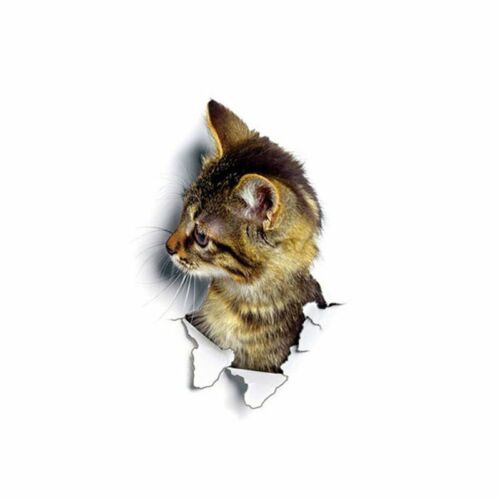 Carino Gatto 3D Muro Foro Adesivo Bagno Wc Bambini Stanza Decorazione Calcomanie