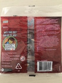 NIP LEGO HARRY POTTER Lab with Minifigure 30111 Polybag 34 Pieces New 2011