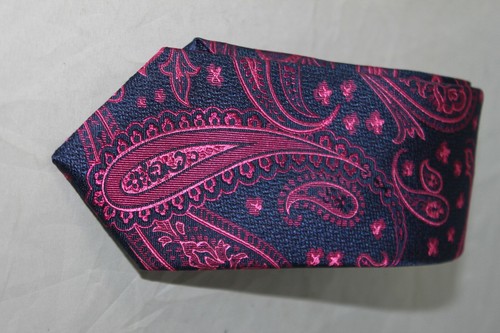 Ted Baker London men/'s Pink Navy Paisley Silk tie MSRP $95