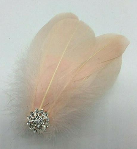 Asst Colour Silver Gem Feather Fascinator Diamante Hair Clip Vintage Style