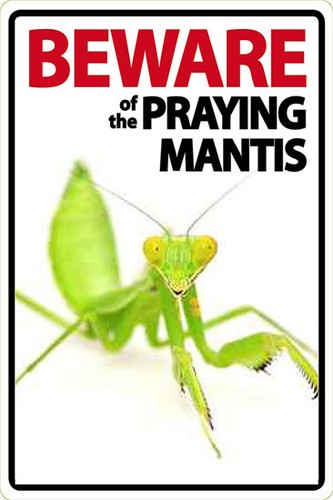 Metal Tin Sign praying mantis Pub Home Vintage Retro Poster Cafe ART
