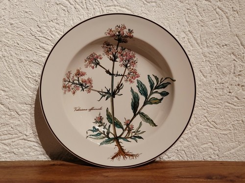 Botanica Villeroy /& Boch Suppenteller Ø 22 cm 11.2