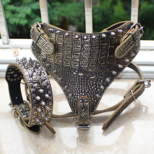 Large Breed Leather Dog Harness Collar SET Spiked Studded PitBull Bully Boxer