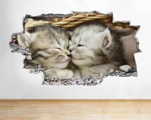 H775 Kittens Sleeping Cute Animals Smashed Wall Decal 3D Art Stickers Vinyl Room