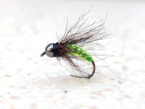 choose Hanak hook//sizes! 6 Tungsten Glass Cased Caddis Euro Czech Nymph
