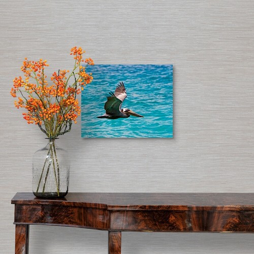 The Brown Pelican Pelecanus Canvas Wall Art Print, Home Decor