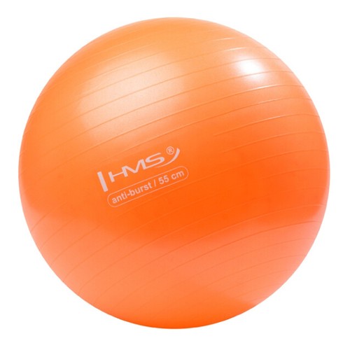 55 cm Gymnastikball Sitzball Fitnessball Büroball Pezziball Pumpe ANTI-BURST Gr
