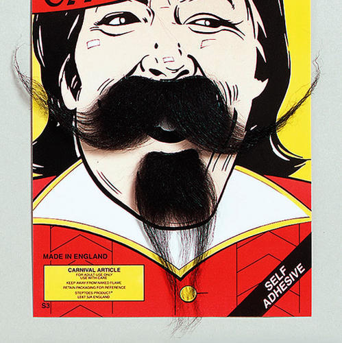 Black Moustache Cavalier Musketeer Medieval Fancy Dress