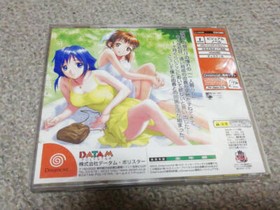 DATAM ROOMMATE NOVEL Yuka Sato SEGA Dreamcast DC Used Shipping from Japan Rare