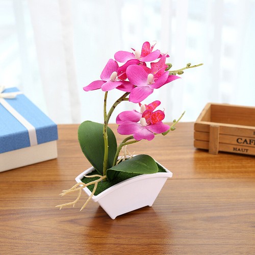 Kunstpflanze Orchidee Phalaenopsis Künstliche Blumen Kunstpflanze Kunstblume