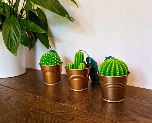 Set of 3 Cactus Candles Fun Home Copper Table Top Decoration Interior Style Gift