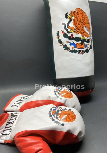 Punching Bag For Kids Guantes De Boxeo Para Niños Saco Juego Kit Bolsa Pegar NEW