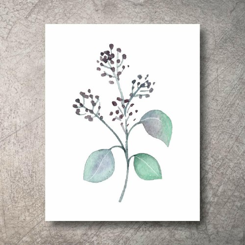 Botanical Prints Wall Decor Kitchen Art Eucalyptus Leaves Set UNFRAMED 6pc