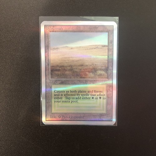 Holographic Savannah